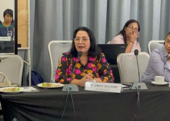 PIA sinusulong ang pagtatalaga ng PIO sa lahat ng NGAs at LGUs sa MIMAROPA