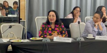 PIA sinusulong ang pagtatalaga ng PIO sa lahat ng NGAs at LGUs sa MIMAROPA