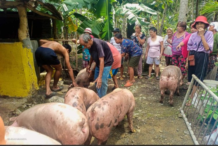 11 farmers’ associations sa Romblon at Palawan, tumanggap ng ₱1.73-M swine support