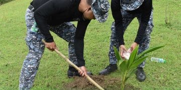 PCA Romblon, nagsagawa ng simultaneous coconut planting sa Odiongan