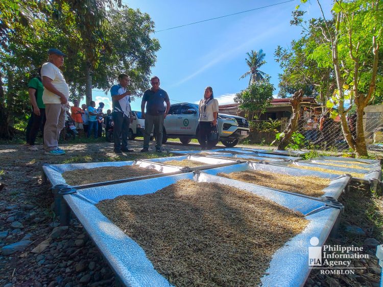 DOST, nakipagdayalogo sa mga magsasaka ng Tabobo-an sa Odiongan