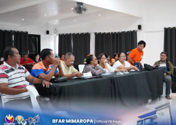 BFAR-MIMAROPA, pinalakas ang mga MFARMC sa strategic forum sa Romblon