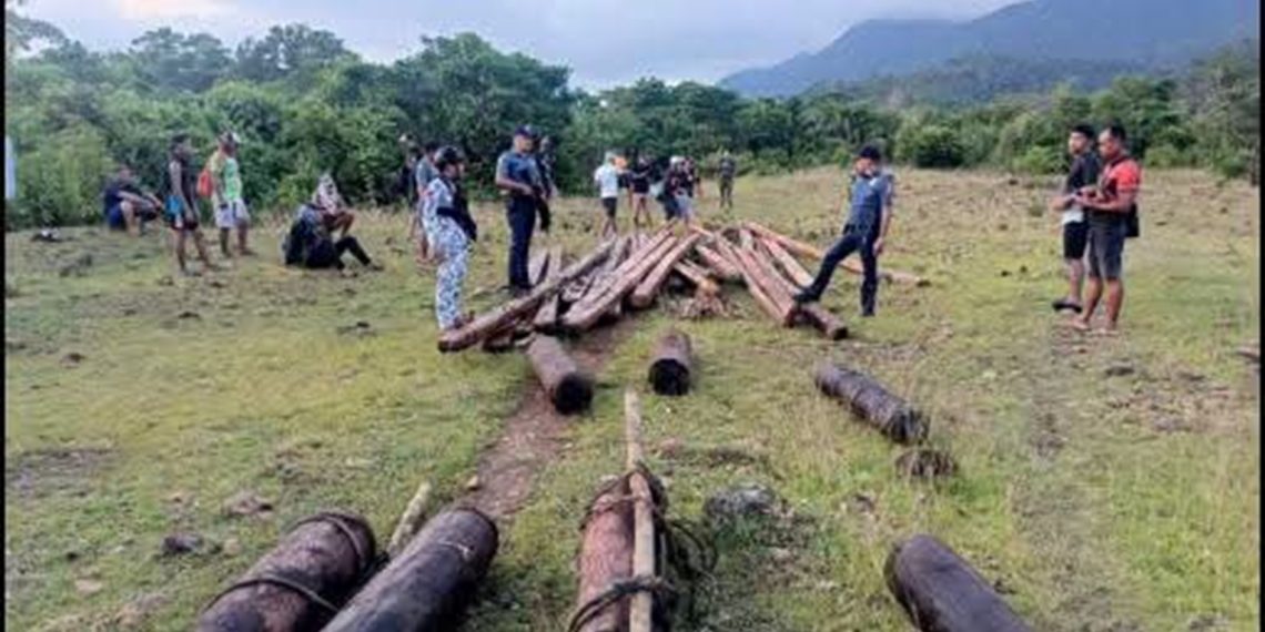 Higit ₱58K halaga ng abandonadong lumber at logs, narekober sa San Fernando