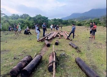 Higit ₱58K halaga ng abandonadong lumber at logs, narekober sa San Fernando