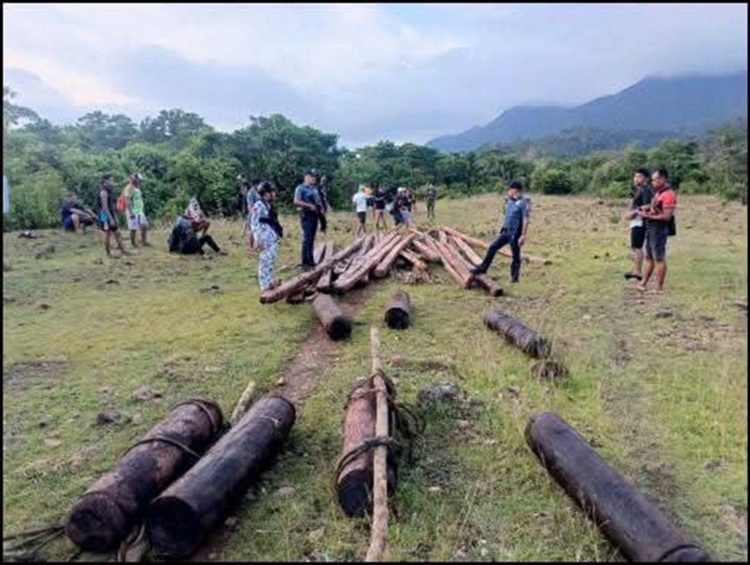 Higit ₱58K halaga ng abandonadong lumber at logs, narekober sa San Fernando
