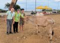₱2.7-M cattle production project, ipinagkaloob sa farmers association sa Santa Maria
