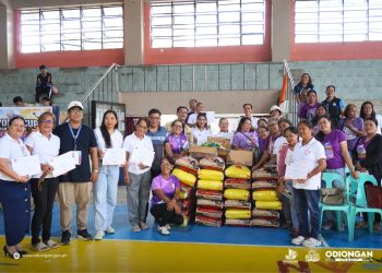 Siyam na asosasyon ng kababaihan sa Odiongan, tumanggap ng tulong pangkabuhayan