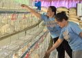 ₱1.1M egg production project, ipinagkaloob sa isang women’s association sa San Jose