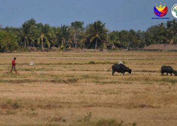 DILG MIMAROPA, hinikayat ang LGUs at publiko na magtipid sa tubig at kuryente
