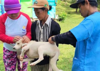 OPV Romblon, nagsagawa ng mga aktibidad para sa Animal Welfare Week