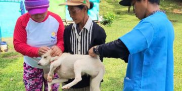 OPV Romblon, nagsagawa ng mga aktibidad para sa Animal Welfare Week