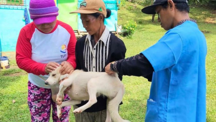 OPV Romblon, nagsagawa ng mga aktibidad para sa Animal Welfare Week