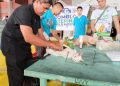 Libreng spay at neuter, anti-rabies campaign inilunsad sa romblon