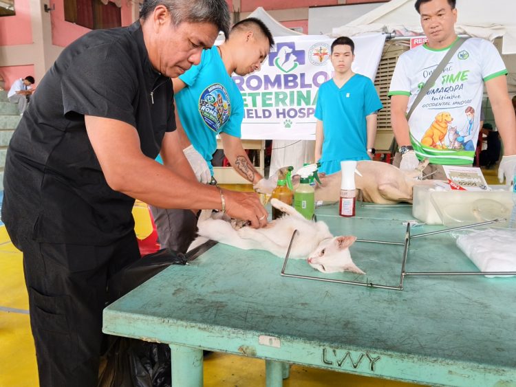 Libreng spay at neuter, anti-rabies campaign inilunsad sa romblon