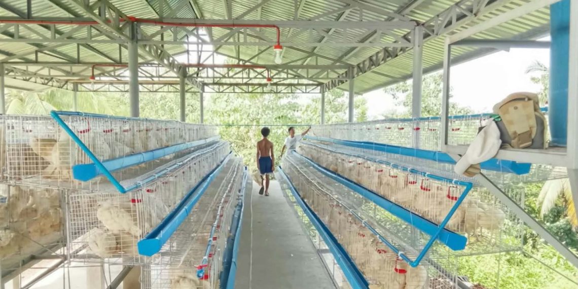 LGU Ferrol, nakatanggap ng ₱3.8M egg production project para sa mga magsasaka